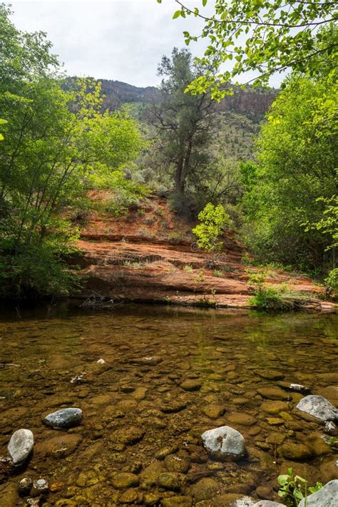 West Clear Creek Arizona In Spring Stock Photo Image Of Creek River