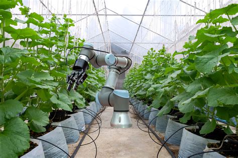 Smart Robot On Smart Farming 40 Concept Central Arizona College