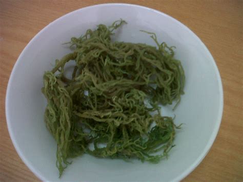5:29 juragan nisah recommended for you. mimpi ke langit: Cara Memasak Rumpai Laut Hijau