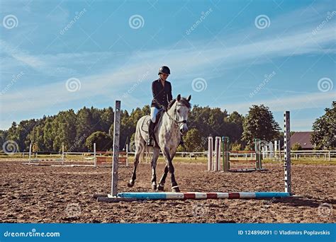 Female Jockey On Dapple Gray Horse Jumping Over Hurdle In The Open