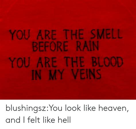 You Are The Smell Before Rain You Are The Blood In My Veins