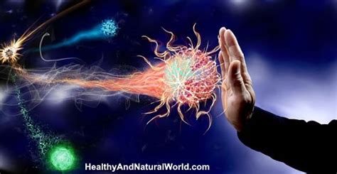 Boost Your Immune System Naturally Herbs Supplements And More