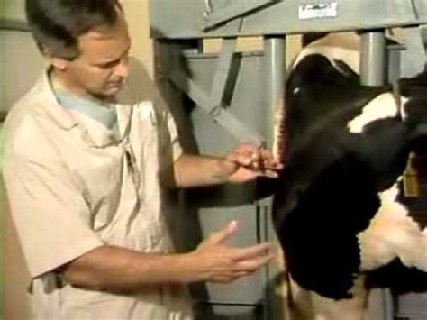 사용자의, 사용자에 의한, 사용자를 위한 생각을 하는 아까네코의 홈페이지입니다. Jugular vein Blood Collection and Injection In a cow - YouTube