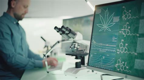 People Process And Innovative Technology Cannabis Compliance
