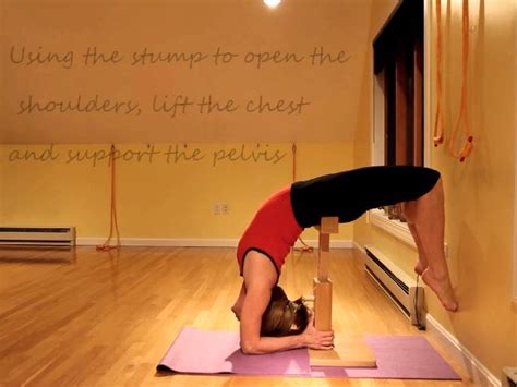 Preparation for dropping into Viparita Dandasana - video 2 ...