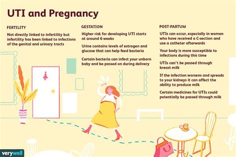 Uti And Pregnancy Fertility Gestation And Postpartum