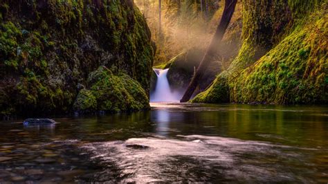 Wallpaper Sunlight Landscape Forest Waterfall Lake Rock Nature