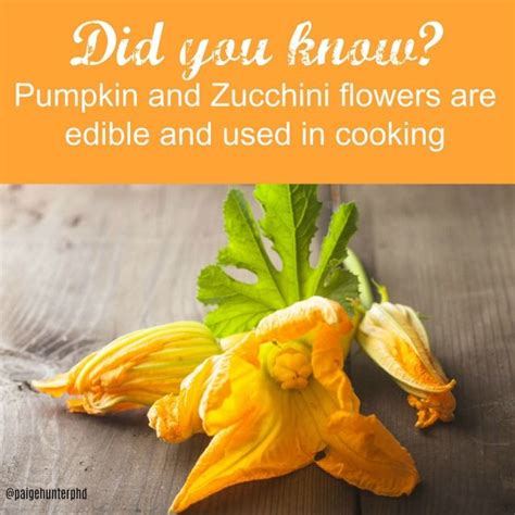 Those flowers could have been treated with pesticides. Hey Good Lookin'! Here's to your cookin'. ;) | Intuitive ...
