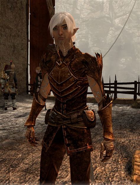 Fenris The Little Things At Dragon Age 2 Nexus Mods And Community