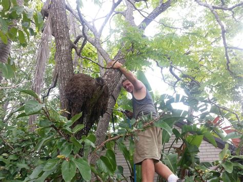 How To Check For Termites In 5 Minutes Or Less