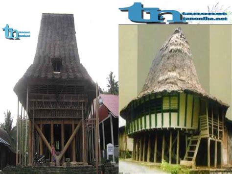 Beraneka ragam suku, agama, ras, golongan, tarian daerah, adat istiadat, lagu daerah menjadi sumber kekayaan bangsa indonesia yang tak ternilai harganya. 45+ Gambar Rumah Adat Suku Nias Terbaik - Kumpulan Gambar ...