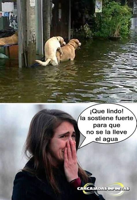 Pin De Edd En Mensmes Memes De Lluvia Frases De Lluvia Memes Lluvia