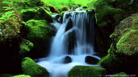 Mountain Stream Nature Sounds 10 Hours Relax Meditate