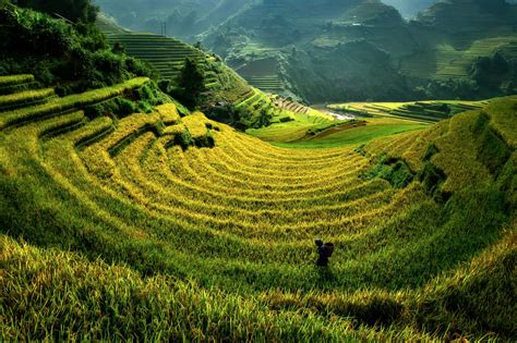 🇻🇳 Terraced Rice Field Mu Cang Chai Vietnam By Jakkree Thampitakkul