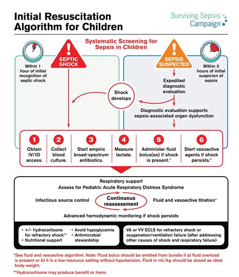 Neonatal Sepsis Algorithm