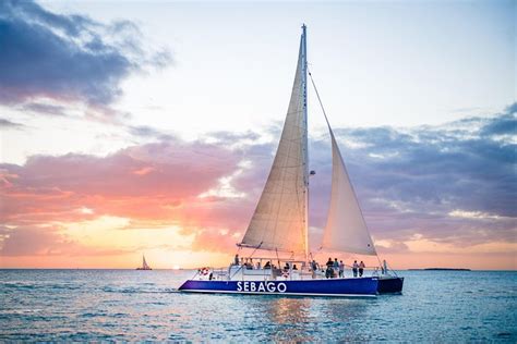 Key West Dolphin Watch Sunset Sail With Premium Wine And Tapas