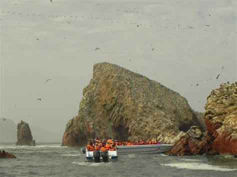 Islas Ballestas Reserva Nacional Paracas Perú Viajerosmundi