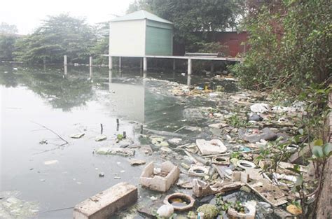 Maybe you would like to learn more about one of these? High cancer rates, pollution plague villages in Bac Giang ...