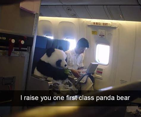 10 Of The Funniest Things That Have Ever Happened On A Plane Bored Panda