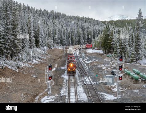 Freight Train Passing Over The Kicking Horse Pass In Banff National