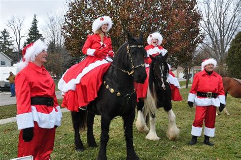 Christmas Horse Parade With Friesians And A Gypsy Vanner Making A