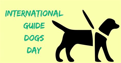 International Guide Dog Day 2024 - Nikki Stephie