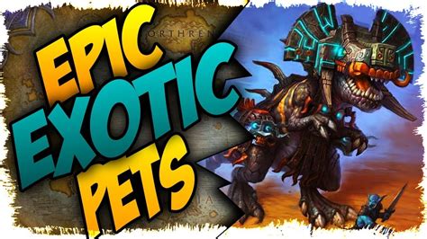 TOP 5 EPIC EXOTIC HUNTER PETS IN BFA! - YouTube