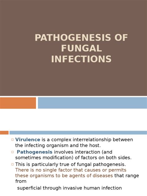 Fungal infections can look like bacterial or viral infections. Pathogenesis of Fungal Infections | Immune System | Fungus