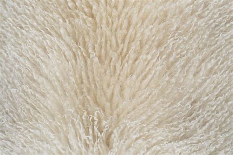 Sheep Fleece Virtual Yarns