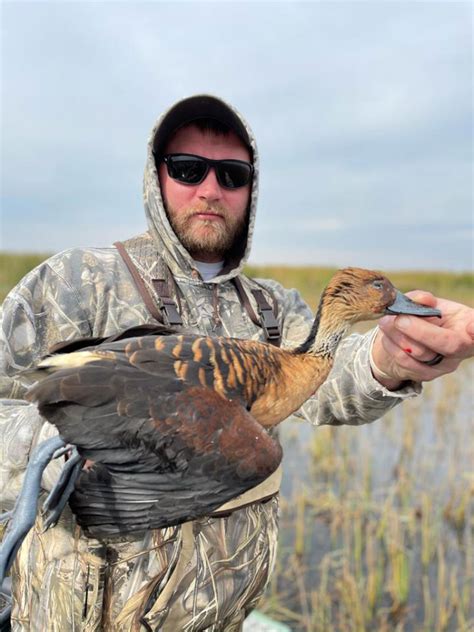Florida Waterfowl Hunting Guides And Waterfowl Outfitters Florida Duck