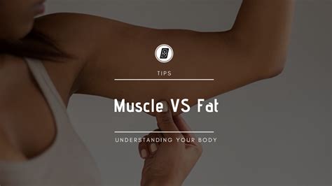 Muscle Vs Fat Body Boss Studio