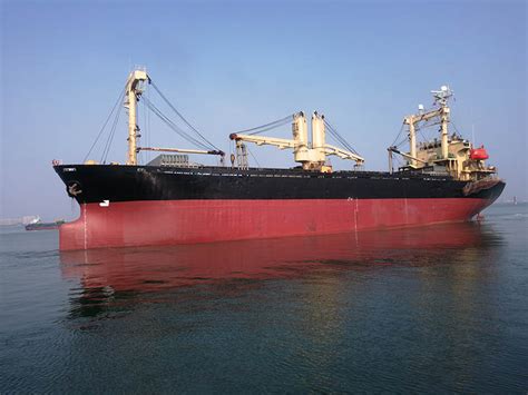10080 Dwt General Cargo Ship For Sale