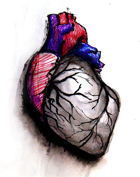Heart Art Page 4 Ecg Guru Instructor Resources Heart Art
