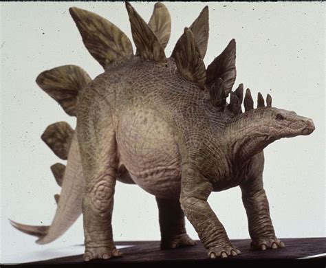 The Lost World Jurassic Park Stegosaurus Maquette Jurassic Park