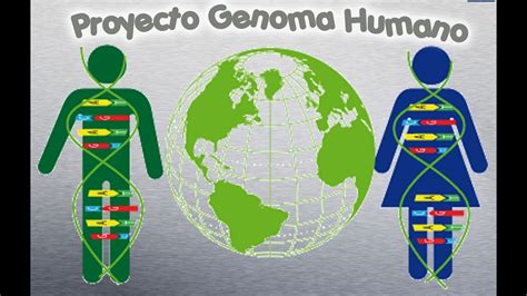 medicina genómica y el genoma humano ¿qué son y para qué sirve youtube