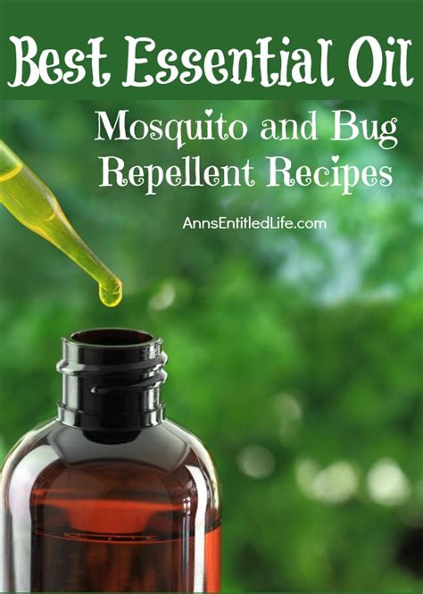 Best Essential Oil Mosquito And Bug Repellent Recipes