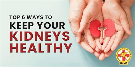 How To Keep Your Kidneys Healthy 6 Effective Methods