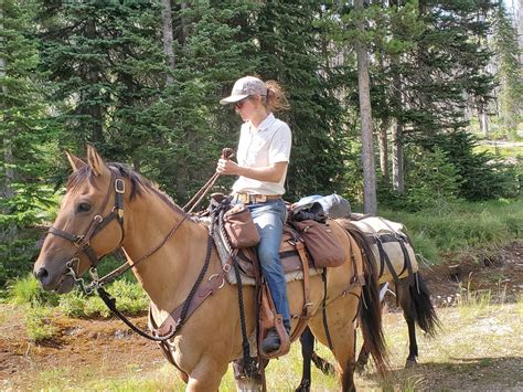 Pack Mule String