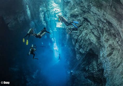 El Pit Cenote Dive Site Pro Dive International