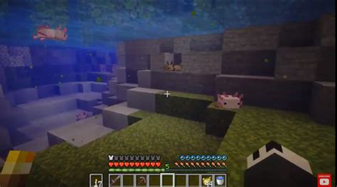 New Mob Axolotl Minecraft