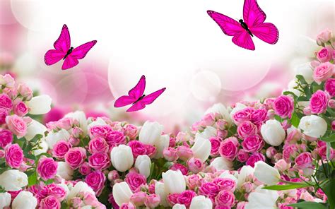 Free Download Beautiful Flowers Pink Roses Wallpaper 2880x1800 For