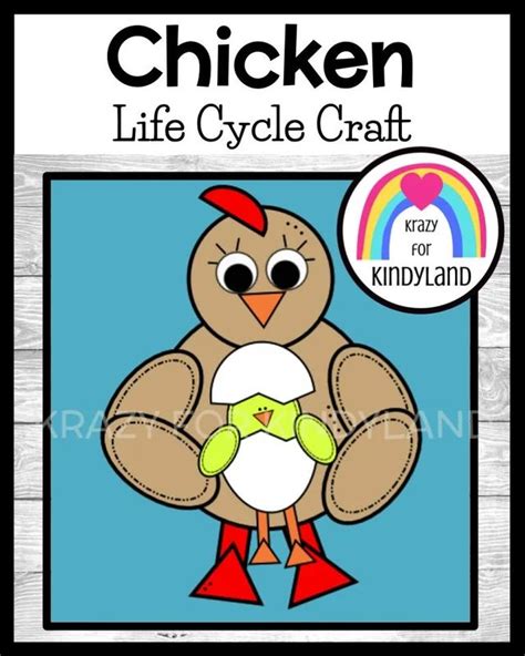 Chicken Life Cycle Activity Craft For Farm Spring Science Center