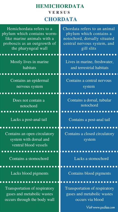 Difference Between Hemichordata and Chordata | Definition
