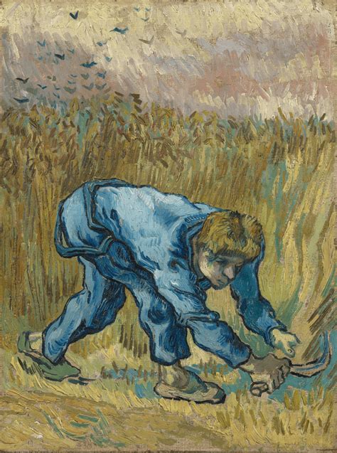 Lirios Museo Van Gogh