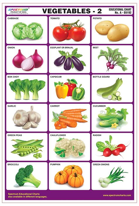 Spectrum Vegetables 2 Pre Primary Kids Learning Laminated Educational