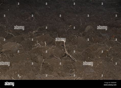 Clay Soil High Resolution Stock Photography And Images Alamy