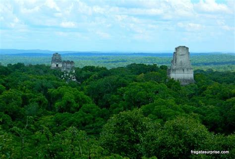 Tikal Guatemala Vista Do Topo Do Templo Iv Tikal Belize City Bus Driver Travel Ideas