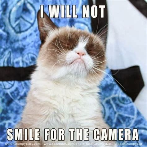 Grumpy Cat Gets Friskies Endorsement Deal Grumpy Cat Funny Grumpy Cat Memes Grumpy Cat Humor