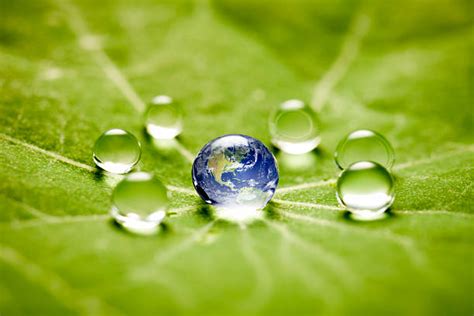 10200 Planet Earth Water Drop Stock Photos Pictures And Royalty Free