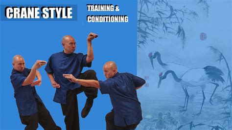 Crane Style Kung Fu Training And Conditioning Youtube